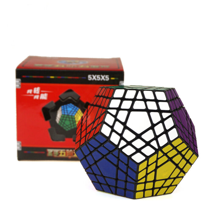 ShengShou Gigaminx Black