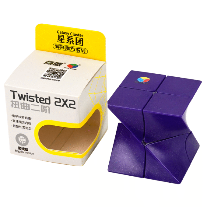DianSheng Twisted 2x2 Cube